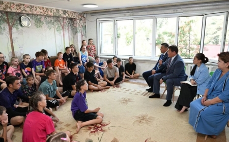 «Бағанашыл» балалар үйін тексеруге президент әкімшілігінен арнайы комиссия келді