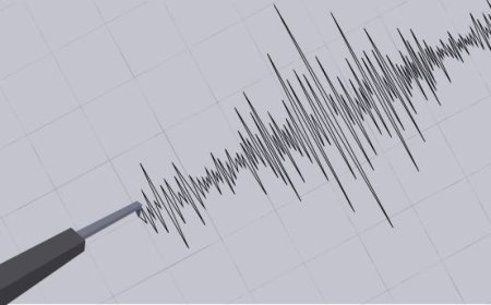 «Қуаты – 4 балл»: Шығыс Қазақстан мен Абай облысында жер сілкінді
