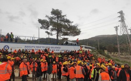 Түркияда Росатом салып жатқан АЭС жұмысшылары ереуілге шықты