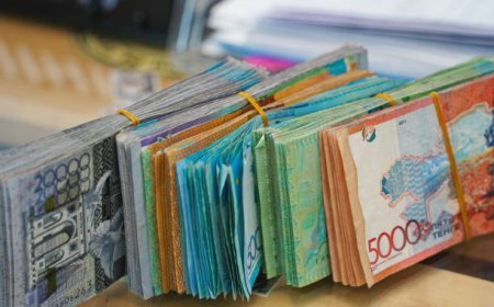 Астаналық ерлі-зайыпты ауруынан айыққан баласының еміне 1,3 млрд теңге жинап алған