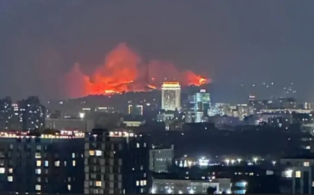 Алматыда Кеңсай-1 аумағындағы тау бөктерінде шыққан өрт оқшауланды