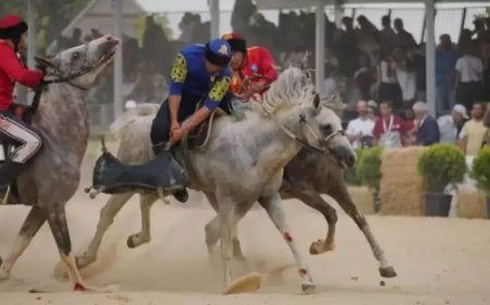 «Көкпар жоқ жерде, қазақ та жоқ»: белгілі журналист Қырғызстанда өтетін Көшпенділер ойындарына байкот жариялауға шақырды