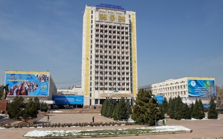 ҚазҰУ биіктен секіріп мерт болған студент қызға қатысты жауап берді