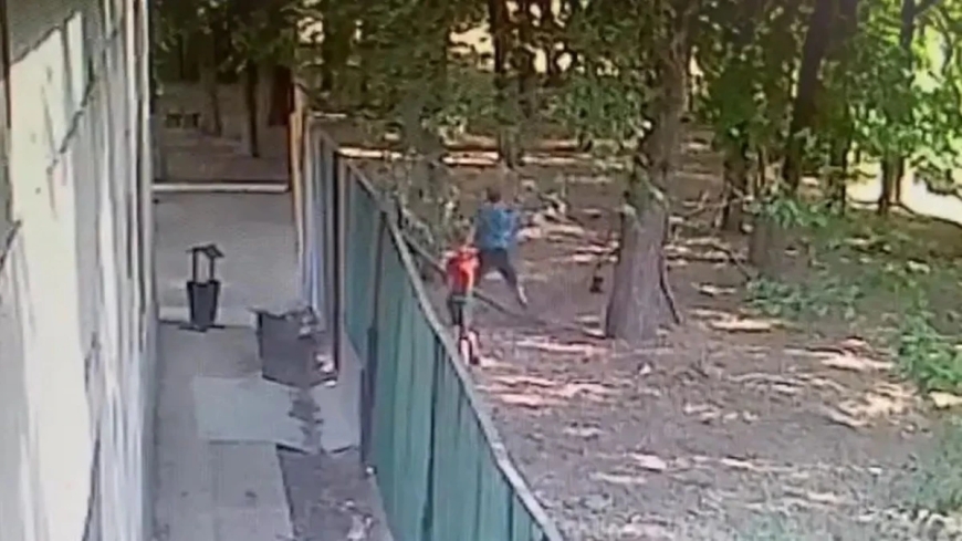 Үш ит талаған бала оқиғасы: Бақылау камерасынан видео жарияланды
