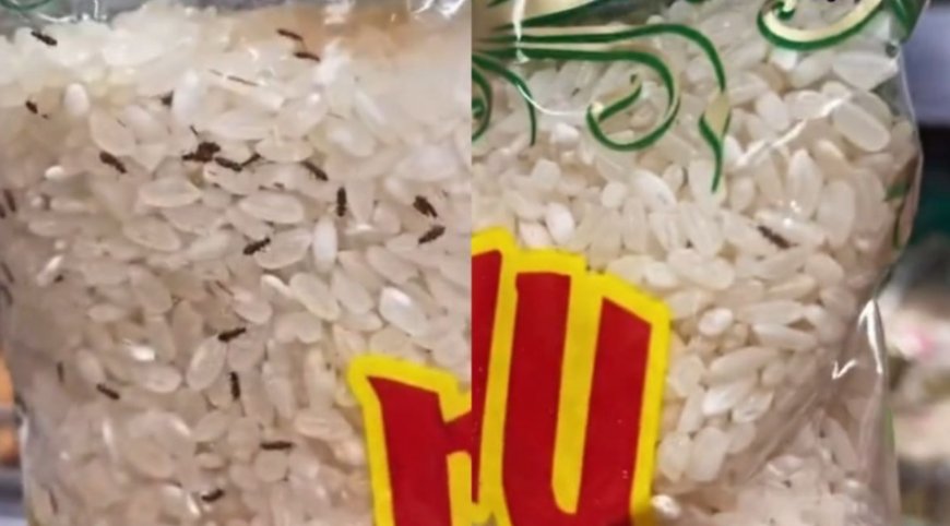 «Жыбырлап жүр»: Magnum дүкенінде құрттаған күріш сатылып жатыр (ВИДЕО)
