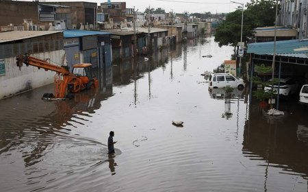 Үндістанда тұтас бір ауылды су шайып кетті (ВИДЕО)