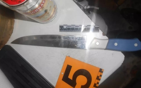 «Өз күйеуін 6 жерден пышақтаған» - Өскемендегі қанды оқиғаға қатысты сұмдық дерек мәлім болды