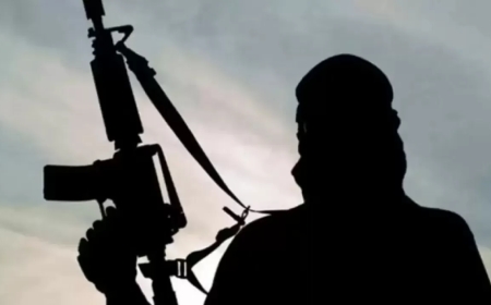 Шетелде халықаралық террористік ұйымға қатысы бар деген күдікпен Қазақстан азаматы ұсталды