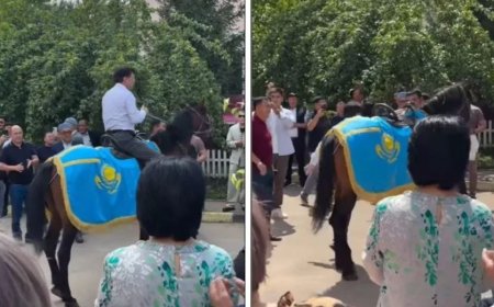 «Көк туымызды сыйламай ма?»: Қанат Айтбаевқа құдасы берген сыйлық көптің сынына қалды (ВИДЕО)