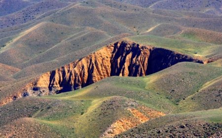 Жылжымайтын мүліктері мен жер телімдері бар: Назарбаевтар тұрған Шамалған ауылындағы жер 217 миллион теңгеге сатылды