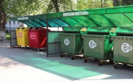 Оралда қоқыс жәшігінен жаңа туған сәбидің денесі табылды