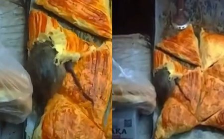 Алматыда самсаның арасынан тірі тышқан шықты