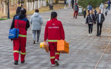 «Әйелін қызғанған»: Түркістан тұрғыны фельдшерді есінен танғанша ұрды