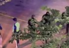 Оқушыны пышақтап кетті: Таразда жаңа оқу жылы қайғылы оқиғамен басталды