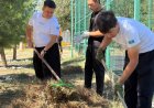 «Таза бейсенбі»: экоакцияға 90 мыңға жуық адам қатысып, 160 мың тоннадан астам қоқыс жиналды