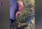 Малы қырылған Маралды халқы әкім орынбасарын арықтан су ішуге мәжбүрледі