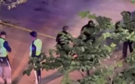 Оқушыны пышақтап кетті: Таразда жаңа оқу жылы қайғылы оқиғамен басталды