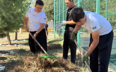«Таза бейсенбі»: экоакцияға 90 мыңға жуық адам қатысып, 160 мың тоннадан астам қоқыс жиналды