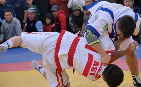 Жарыста мойын омыртқасын сындырып алған 15 жастағы балуан көз жұмды