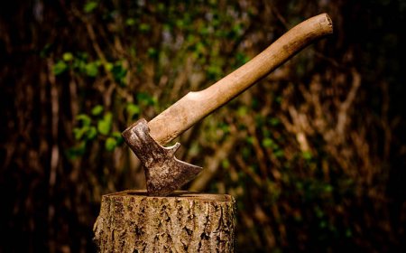 Сарыағашта 35 жастағы жігіт қарияны балтамен ұрып өлтірді