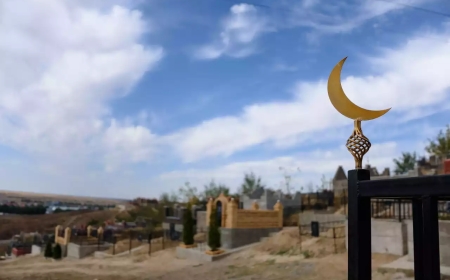 Таразда моланың ішінен шайтан шықты (ВИДЕО)