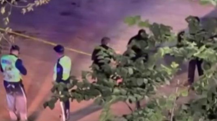 Оқушыны пышақтап кетті: Таразда жаңа оқу жылы қайғылы оқиғамен басталды