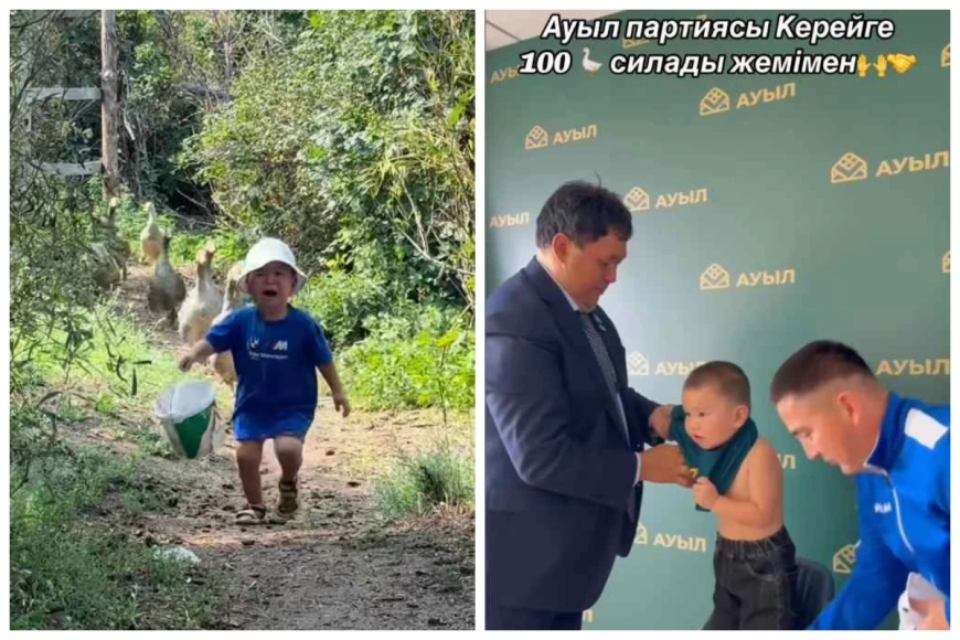 Қаздан қашып танымал болған балақай күтпеген сыйлыққа ие болды