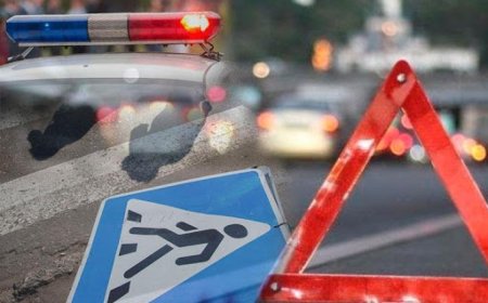 Алматы облысында жол апатынан 8 адам мерт болды