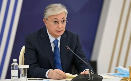 Тоқаев ЖИ-ге маманданған жаңа зерттеу университетін ашуды тапсырды