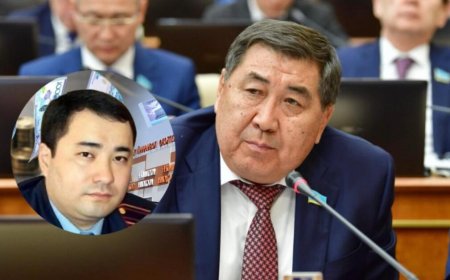 «Ағасына сүйенген Нұрбол Назарбаев 9 мың га жерді тартып алған» – Бапи