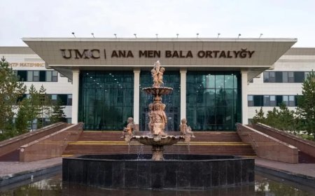 Астанадағы «Ана мен бала» орталығында бүлдіршін жоғалып кетті