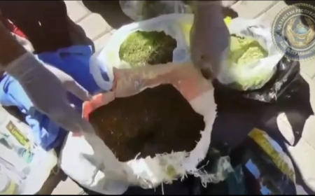 Қарағандының вокзалына келген 75 жастағы қариядан дорба-дорба есірткі табылды (ВИДЕО)