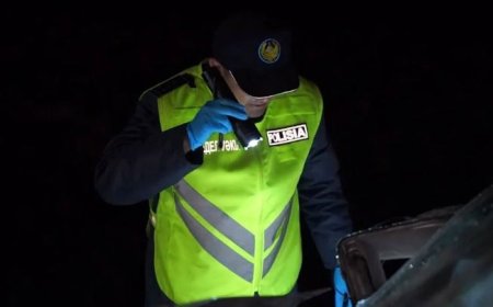 Абай облысында төрт адам опат болды