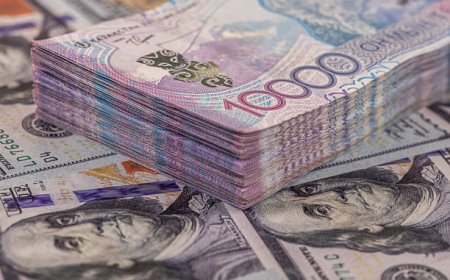 Мемлекеттік бюджеттің кірісі 17,3 трлн теңге болды – министр