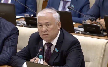 Мәжіліс төрағасы министрді мақтаған депутаттың сөзін бөліп жіберді