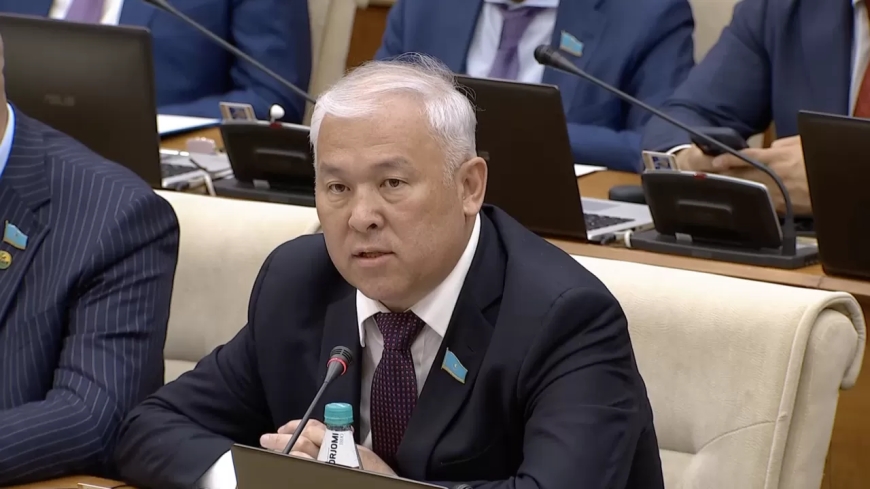 Мәжіліс төрағасы министрді мақтаған депутаттың сөзін бөліп жіберді