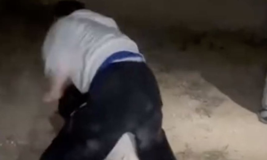 Маңғыстауда оқушы қыздар төбелесіп, бір-бірін талдырып тастаған (ВИДЕО)