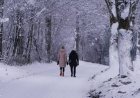 Елімізде алдағы күндері ауа райы қандай болады