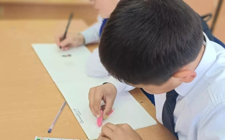 Мектепте телефон қолдануға болмайды: министрлік айыппұл салынатынын ескертті