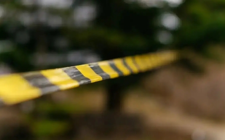 Жамбыл облысында колледж студентінің мәйіті табылды