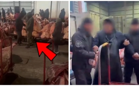 Астанадағы базарда қайдан келгені белгісіз қауіпті ет сатылған (видео)