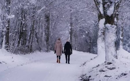 Қар, жаңбыр: Елімізде алдағы күндері ауа райы қандай болады