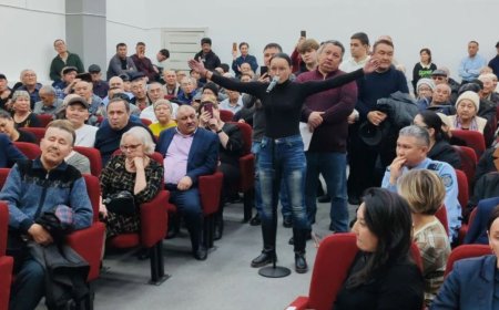 «Ол қаланы КСРО салған»: Рудныйдағы көшелерді қазақыландыру төңірегінде шу шықты