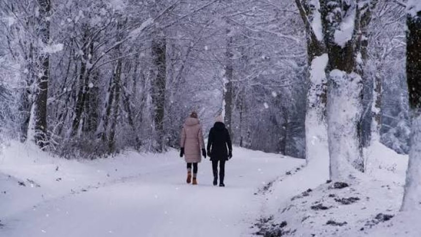 Қар, жаңбыр: Елімізде алдағы күндері ауа райы қандай болады