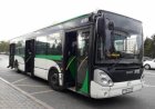 Алматыда автобус жүргізушісі телефонға қараймын деп, қызды қағып кетті (ВИДЕО)