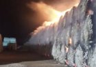 Түркістан облысында 260 тонна мақта өртеніп кетті