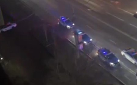 Алматыда жаппай төбелес болды