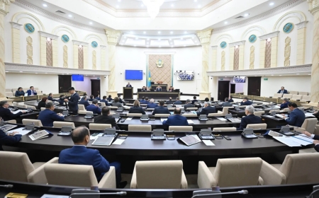 Сенат ЛГБТ насихатына тыйым салатын заңды кейінге қалдырды