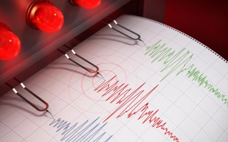 Шымкент пен Таразда жер сілкінді