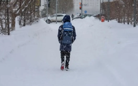 Қостанай облысында аязға байланысты  оқушылар қашықтықтан оқуға көшті